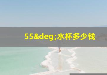 55°水杯多少钱