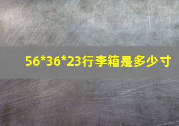 56*36*23行李箱是多少寸