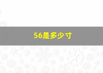 56是多少寸