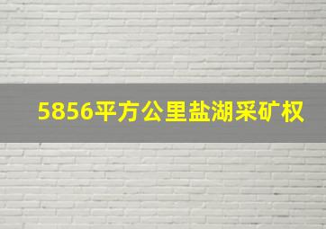 5856平方公里盐湖采矿权