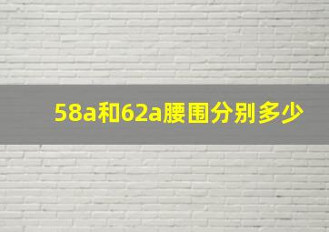 58a和62a腰围分别多少