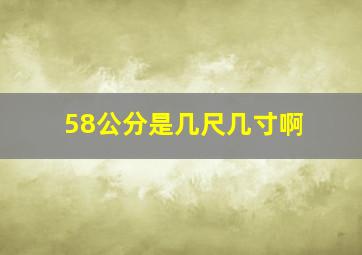 58公分是几尺几寸啊