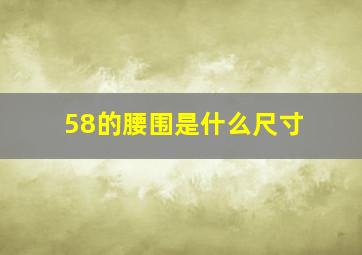 58的腰围是什么尺寸