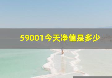 59001今天净值是多少