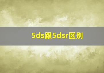 5ds跟5dsr区别