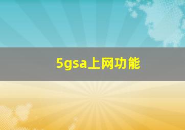 5gsa上网功能