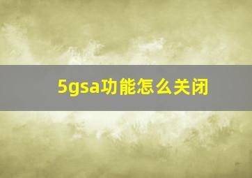 5gsa功能怎么关闭