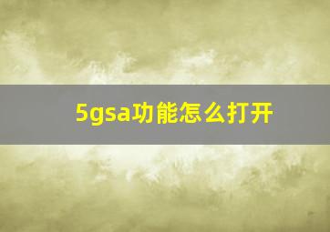 5gsa功能怎么打开