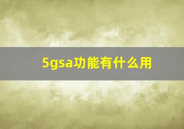 5gsa功能有什么用