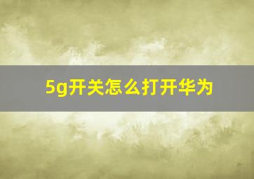 5g开关怎么打开华为