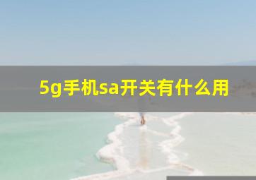 5g手机sa开关有什么用