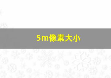 5m像素大小