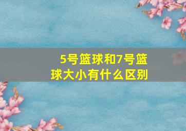 5号篮球和7号篮球大小有什么区别