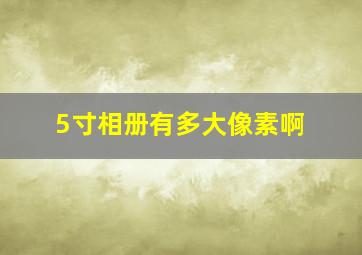 5寸相册有多大像素啊