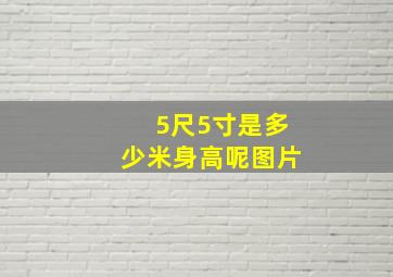 5尺5寸是多少米身高呢图片