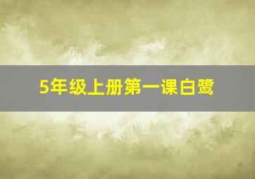 5年级上册第一课白鹭