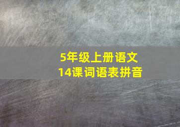 5年级上册语文14课词语表拼音