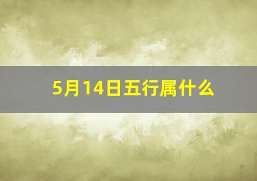 5月14日五行属什么