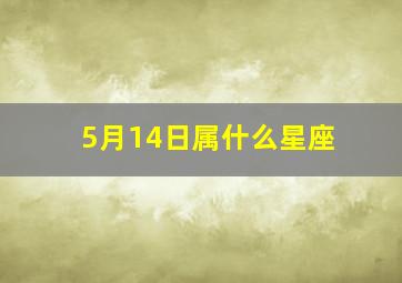 5月14日属什么星座