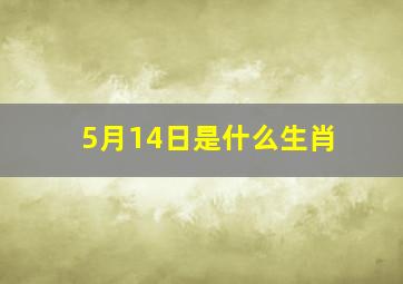 5月14日是什么生肖