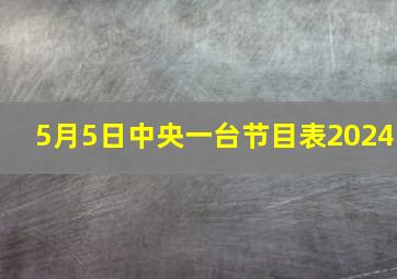 5月5日中央一台节目表2024