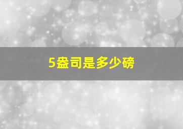 5盎司是多少磅