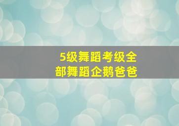 5级舞蹈考级全部舞蹈企鹅爸爸