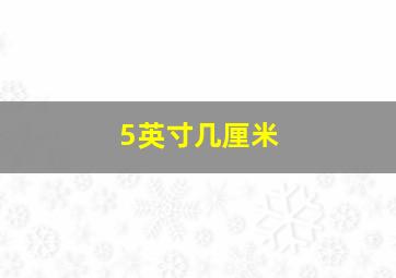 5英寸几厘米