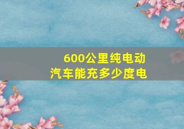 600公里纯电动汽车能充多少度电