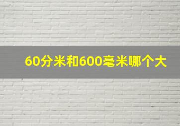 60分米和600毫米哪个大