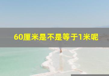 60厘米是不是等于1米呢