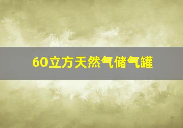 60立方天然气储气罐