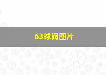 63球阀图片