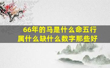 66年的马是什么命五行属什么缺什么数字那些好