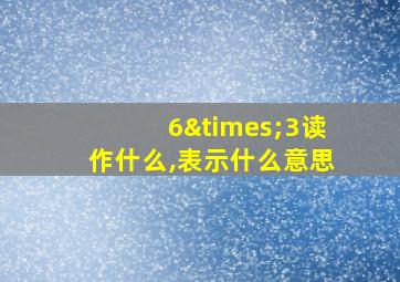 6×3读作什么,表示什么意思