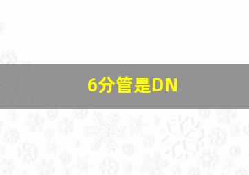 6分管是DN