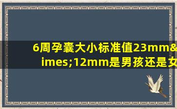 6周孕囊大小标准值23mm×12mm是男孩还是女孩