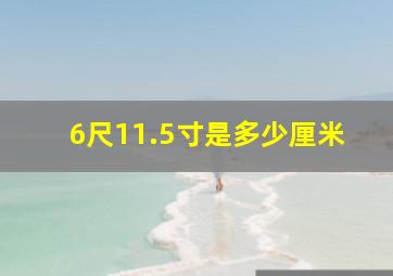 6尺11.5寸是多少厘米