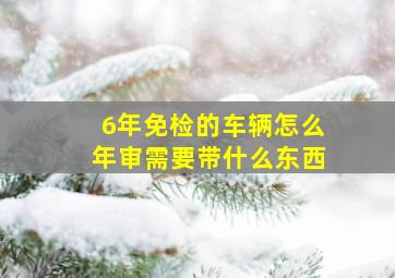 6年免检的车辆怎么年审需要带什么东西