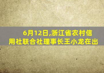 6月12日,浙江省农村信用社联合社理事长王小龙在出