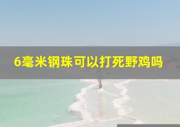 6毫米钢珠可以打死野鸡吗