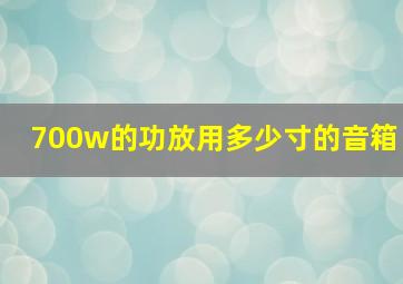 700w的功放用多少寸的音箱