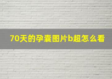 70天的孕囊图片b超怎么看