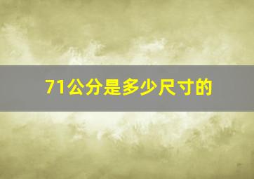 71公分是多少尺寸的