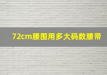 72cm腰围用多大码数腰带