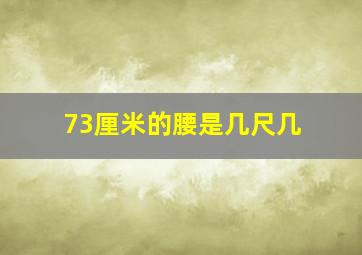 73厘米的腰是几尺几