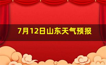 7月12日山东天气预报