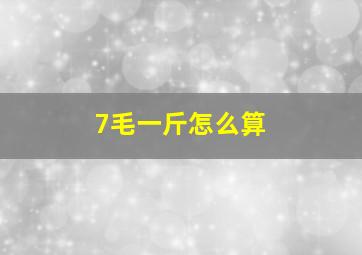 7毛一斤怎么算