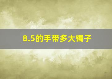 8.5的手带多大镯子