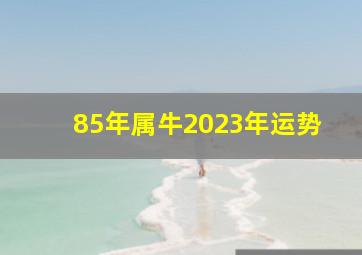 85年属牛2023年运势